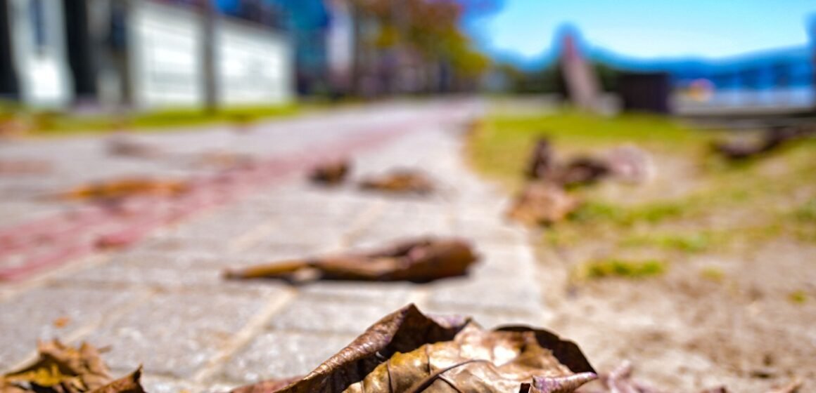 Outono começa no Hemisfério Sul com previsão de temperaturas acima da média em SC