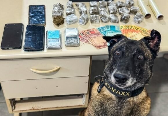 Polícia apreende drogas escondidas em casa em Tubarão