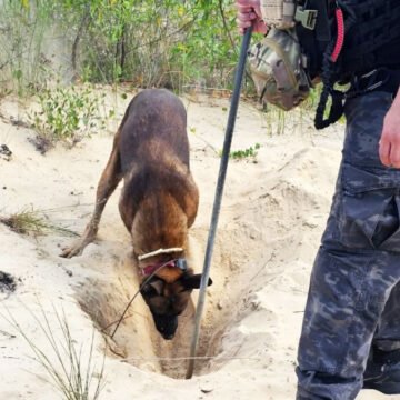 Corpo é encontrado em dunas no Balneário Rincão