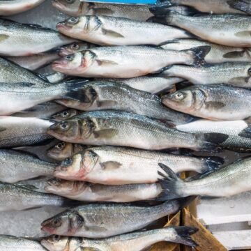 Pesquisa do Procon aponta variação de até 70% em pescados em Tubarão Pesquisa do Procon aponta variação de até 70% em pescados em Tubarão