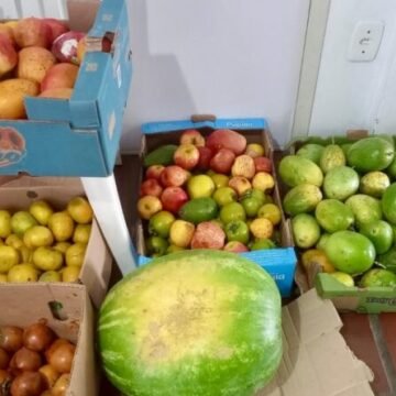 Banco de Alimentos distribui mais de 7 toneladas em Tubarão em 2025