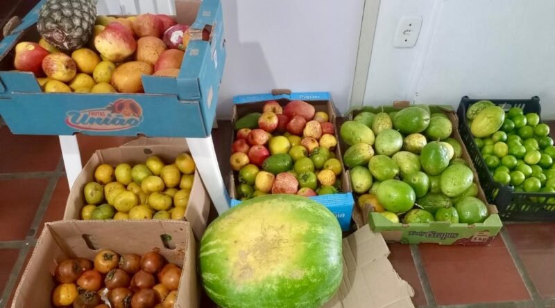 Banco de Alimentos distribui mais de 7 toneladas em Tubarão em 2025