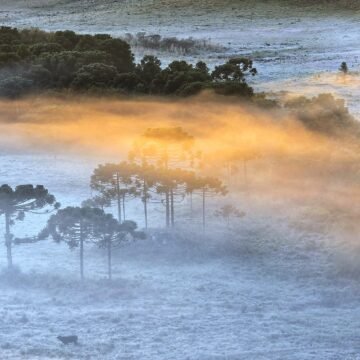 Serra de SC amanhece coberta por geada com temperatura de -1,9ºC em São Joaquim