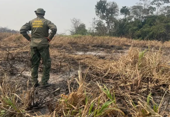 Brasil reduz 70% da área queimada no primeiro trimestre de 2025