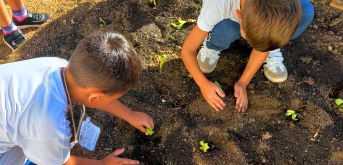 Hortas Pedagógicas em Gravatal incentivam sustentabilidade e aprendizado entre os alunos