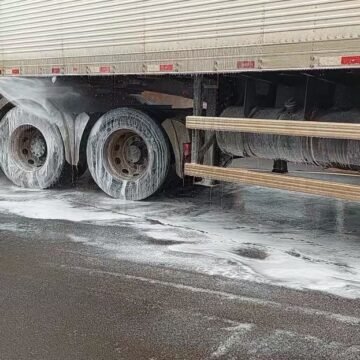 Suspeita de Influenza Aviária de Alta Patogenicidade em SC é descartada