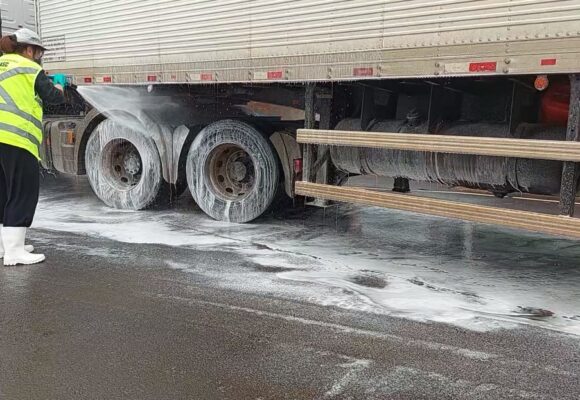 Suspeita de Influenza Aviária de Alta Patogenicidade em SC é descartada