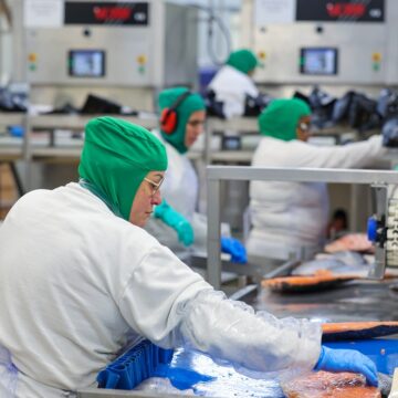 Indústria brasileira cria 910,9 mil empregos entre 2019 e 2023, revela IBGE Indústria brasileira cria 910,9 mil empregos entre 2019 e 2023, revela IBGE