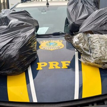 PRF apreende 46 kg de ‘supermaconha’ na BR-101, em Imbituba