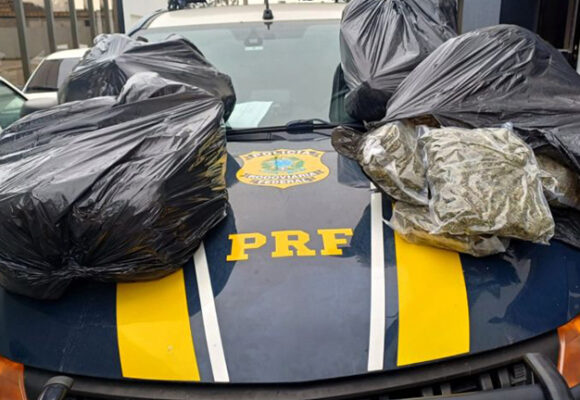 PRF apreende 46 kg de ‘supermaconha’ na BR-101, em Imbituba