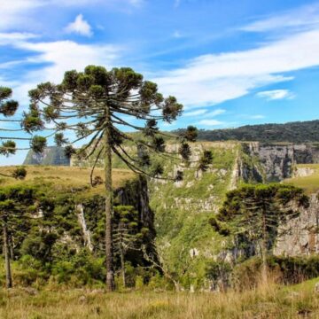 O que levar na mala para encarar o frio da Serra Catarinense O que levar na mala para encarar o frio da Serra Catarinense