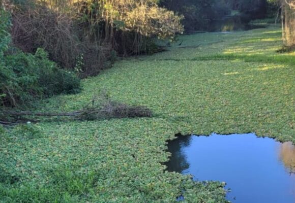 Defesa Civil estadual vistoria Rio da Madre, em Tubarão