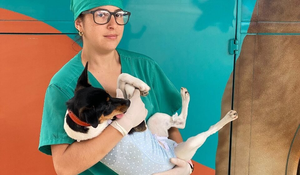 Pescaria Brava realiza novo Mutirão de Castração com mais de 270 animais cadastrados