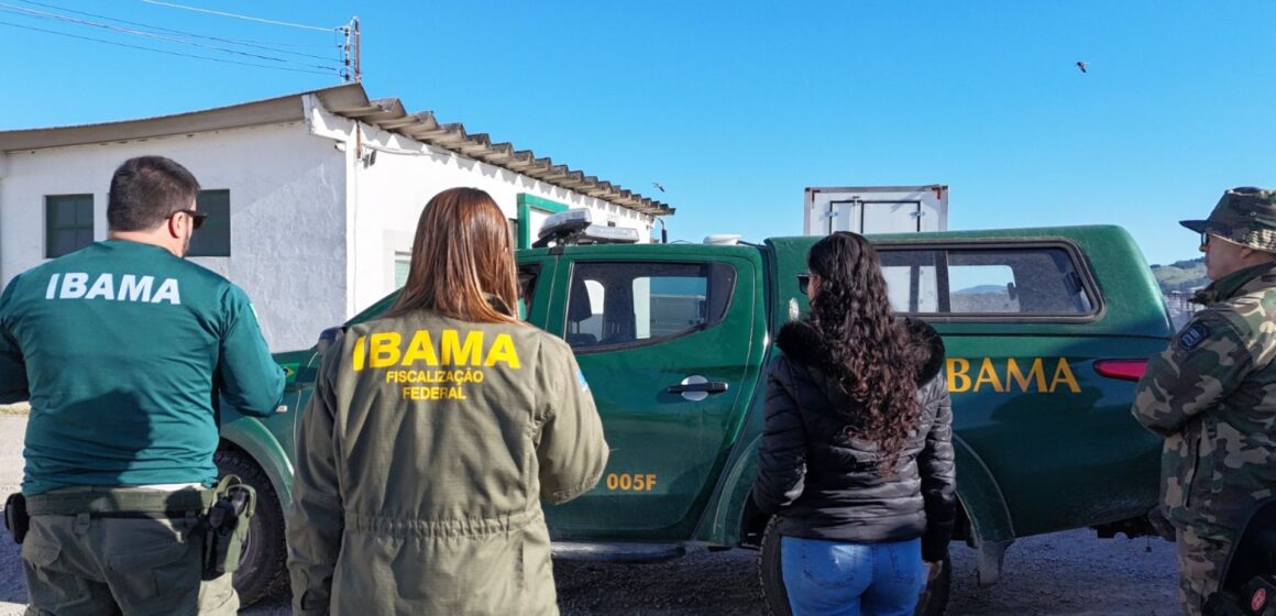 Operação conjunta apreende 13 toneladas de pescado sem origem em Laguna