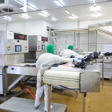 Sine oferece mais de 9 mil vagas de emprego em Santa Catarina