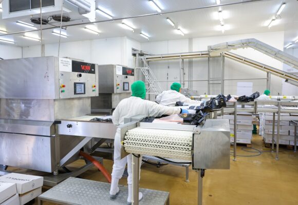 Sine oferece mais de 9 mil vagas de emprego em Santa Catarina