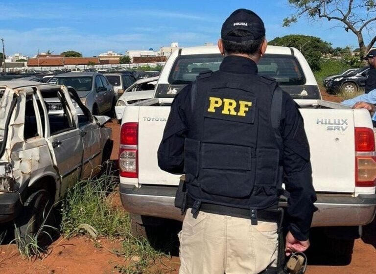 PRF realiza leilão de 651 veículos retidos ou abandonados em Santa Catarina