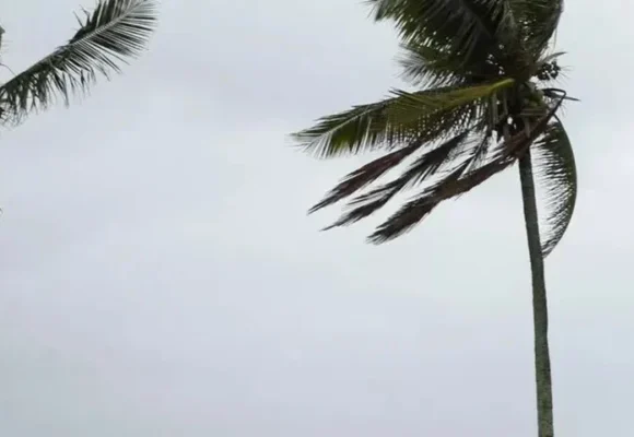 Como se proteger dos ventos fortes causados por ciclone