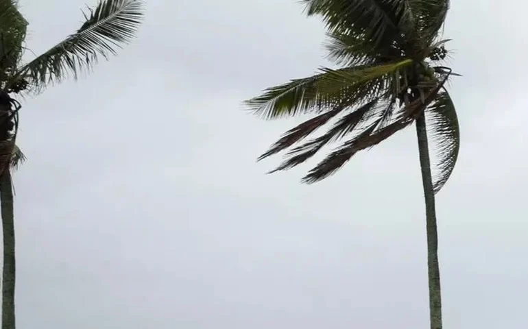 Como se proteger dos ventos fortes causados por ciclone