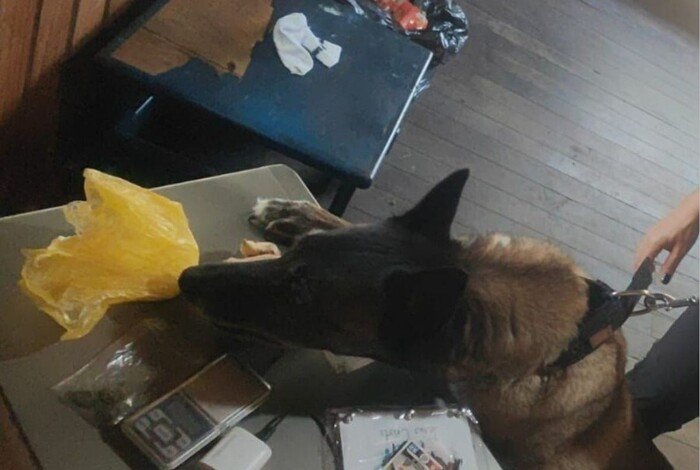 Mulher é presa por tráfico de drogas no Farol de Santa Marta durante operação da DIC de Laguna Mulher é presa por tráfico de drogas no Farol de Santa Marta durante operação da DIC de Laguna