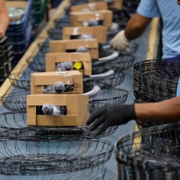 Santa Catarina cresce acima da média nacional em indústria, comércio e serviços