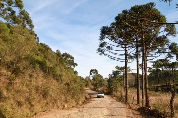 Santa Catarina terá manhãs geladas e tardes quentes neste fim de semana
