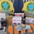 Carga de medicamentos emagrecedores e anabolizantes é aprendida pela PRF