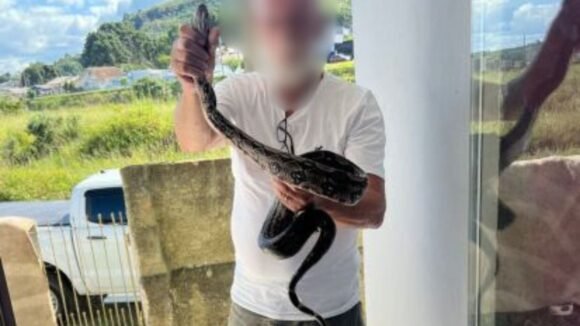 Operação resgata 20 animais silvestres e desarticula esquema de tráfico na Serra