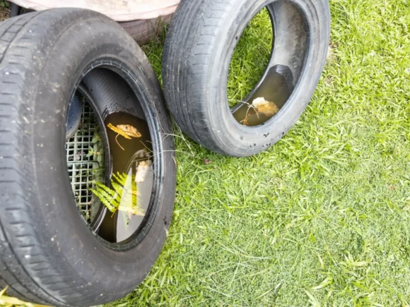 Casos e focos do Aedes aegypti aumentam e Tubarão confirma transmissão local de dengue