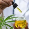UniSul amplia pesquisa com cannabis medicinal