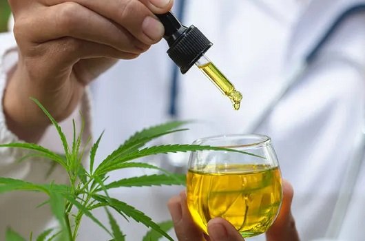 UniSul amplia pesquisa com cannabis medicinal