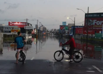 Foto: Thiago Hockmüller/Portal Engeplus/ Divulgalção/; UNITVSC