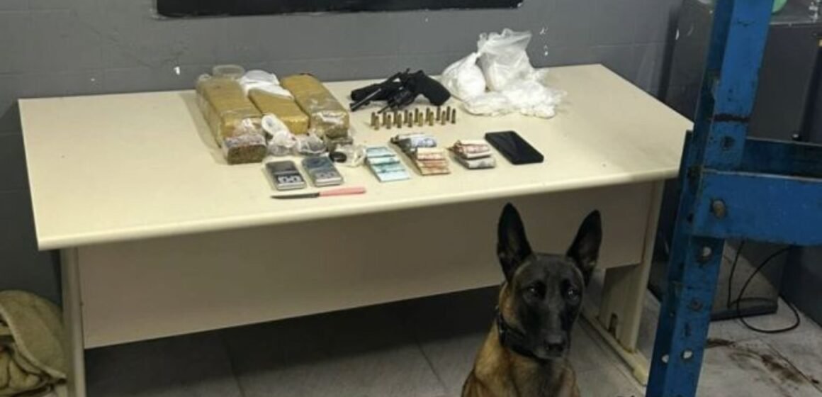 Localização em tempo real ajuda PM a resgatar adolescente de sequestro na região