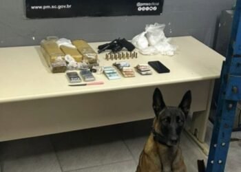 Foto: PMSC/ Divulgação/ UNITVSC