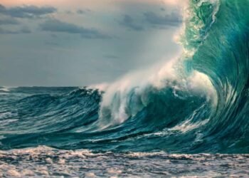 Foto: Willyam Bradberry/ Divulgação/ UNITVSC