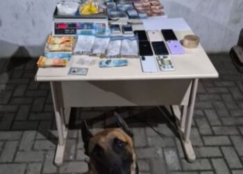 Foto: PMSC/ Divulgação/ UNITVSC