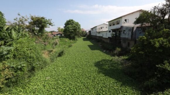 Rio da Madre deve passar por limpeza histórica após 20 anos em Tubarão