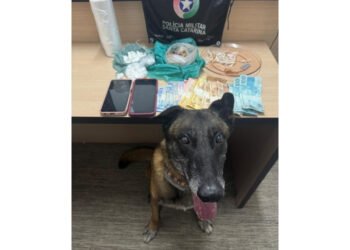 Foto: Divulgação/PMSC