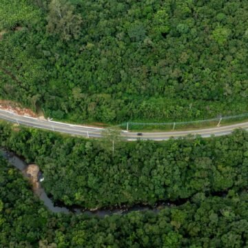 Rodovia da Imigração é inaugurada durante 5ª Festa da Colônia em Pedras Grandes