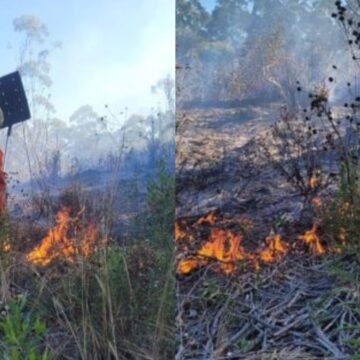 Bombeiros evitam que incêndio atinja casas e área nativa em Jaguaruna