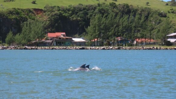 Saúde das lagoas de Laguna passa por vistoria para garantir pesca e turismo