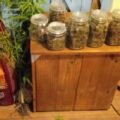 Polícia fecha “fábrica” de maconha com estufa moderna e monitoramento por câmeras em Imaruí