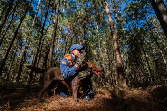 Cães bombeiros: pai e filha que serviram Santa Catarina se aposentam juntos