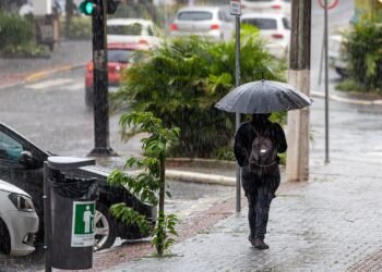 Foto: Reprodução/Defesa Civil de Santa Catarina