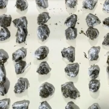 Com ajuda de cão farejador, Polícia Militar apreende mais de 200 pinos de cocaína em Tubarão