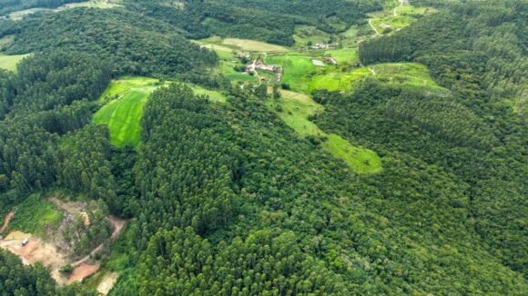 Santa Catarina abre inscrições para programa que incentiva a conservação da vegetação nativa no meio rural