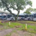 Usuários do transporte coletivo de Tubarão precisam fazer novo cartão; gratuidade é prorrogada até dia 27