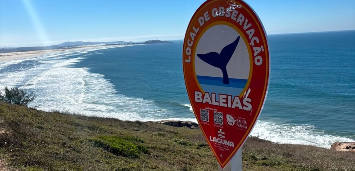 De baleias a botos: Laguna amplia sinalização dos principais atrativos turísticos do município De baleias a botos: Laguna amplia sinalização dos principais atrativos turísticos do município