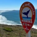 De baleias a botos: Laguna amplia sinalização dos principais atrativos turísticos do município