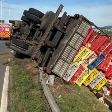 Caminhão carregado de frangos tomba na Rodovia Ivane Fretta em Tubarão e deixa dois feridos